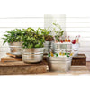 Behrens 17 gal Steel Tub Round