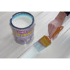 Ames Clear Flat Bonding Primer 1 gal. (Pack of 4)