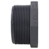 Charlotte Pipe Schedule 80 2 in. MPT X 2 in. D MPT PVC Threaded Plug 1 pk - Deal of The Week