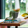 Bloem 10 in. Dia. Polyresin Ariana Planter Charcoal