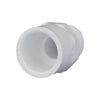 Charlotte Pipe Schedule 40 PVC Pipe Adapter (Pack of 25)