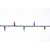 Celebrations Classic LED T5 Multicolored 100 ct String Christmas Lights 24.75 ft. (Pack of 12)