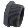 Charlotte Pipe Schedule 80 2 in. MPT X 2 in. D MPT PVC Threaded Plug 1 pk - Deal of The Week