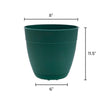 Bloem Dayton 7.5 in. H X 8 in. D Plastic Transitional Planter Turtle Green