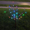 Celebrations Platinum LED RGBW Light Burst 30 in. Yard Decor