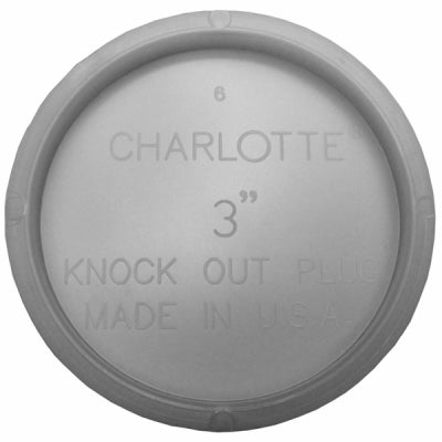 Charlotte Pipe 3 in. PVC Test Cap