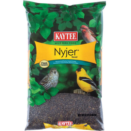 Kaytee Nyjer Songbird Niger Seed Wild Bird Food 8 lb