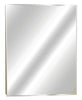 Zenith Products 30.5 in. H X 24.25 in. W X 5 in. D Rectangle Medicine Cabinet/Mirror