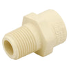 Charlotte Pipe FlowGuard 3/4 in. Hub X 1/2 in. D MPT CPVC Reducing Adapter
