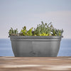 Bloem Lucca Charcoal Gray Resin Oval Window Box 7.5 H x 19 W x 9.13 D in. with Saucer