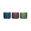 TIKI Assorted Lavish Woodland Scent Frosted Votive Candle 9 oz (Pack of 12)