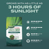 GRASS SEED DENS SHD 2.4#
