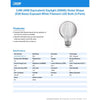 Feit White Filament G25 E26 (Medium) Filament LED Bulb Daylight 40 Watt Equivalence 3 pk