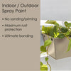 Krylon Fusion All-In-One Satin Khaki Paint + Primer Spray Paint 12 oz (Pack of 6). - Deal of The Week