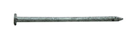 Pro-Fit 2 in. Common Hot-Dipped Galvanized Steel Nail Flat Head 5 lb