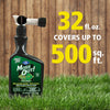 Lilly Miller Hose 'n Go Moss Out Moss Killer Concentrate 32 oz