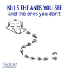 TERRO Ant Bait 4 pk (Pack of 6)
