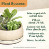 Miracle-Gro Cacti, Citrus and Palm Potting Mix 8 qt - Open Box