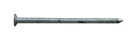 Pro-Fit 3 in. Box Hot-Dipped Galvanized Nail Flat Head 1 lb