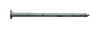 Pro-Fit 3 in. Box Hot-Dipped Galvanized Nail Flat Head 1 lb