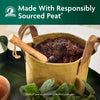Miracle-Gro Organic Indoor Plant Potting Mix 16 qt - Deal of The Week