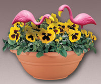Bloem Mingo Pink Plastic/Resin 5.8 in. H Flamingo Outdoor Decoration, 2 pc.