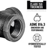 BK Products 3/4 in. MPT  Black Malleable Iron Plug