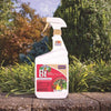 Bonide BT Thuricide Spray Organic Liquid Caterpillar Killer 32 oz (Pack of 12)