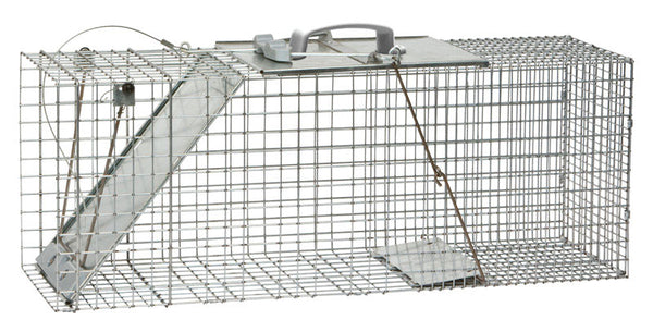 Havahart Easy Set Live Raccoon Trap, Gray, L