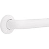 Delta 25.85 in. L ADA Compliant Stainless Steel Grab Bar