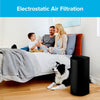 Filtrete 13 in. H X 8.2 in. W Rectangular HEPA Air Purifier Filter 1 pk