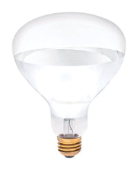 Heat Lamp, R40, 250-Watts