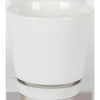 Border Concepts 8 in. D Ceramic Flair Saucer Planter White (Pack of 4)