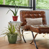 Bloem Living Green Resin Bell Ariana Planter 8.5 H x 10 Dia. in.