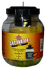 Starbar Captivator Flies/Gnats Fly Trap 64 oz. for Outdoor Use