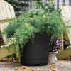 Bloem Saturn 4.5 in. H X 5 in. D Plastic Flower Pot Black