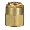 Champion 1/2 in. D X 14.5 in. L Spray Head Cap