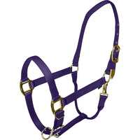 Gatsby Gold Adjustable Halter W/ Snap