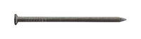Pro-Fit 4 in. Common Bright Steel Nail Flat Head 1 lb