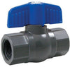 Homewerks 3/4 in. PVC FIP Ball Valve Full Port T-Handle - Deal of The Week