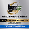 Roundup Dual Action Weed and Grass Killer Concentrate 32 oz (Pack of 6)
