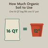 Miracle-Gro Organic Indoor Plant Potting Mix 16 qt - Deal of The Week