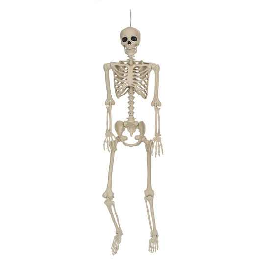 Seasons 5 ft. Human Skeleton Hanging Decor