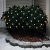 Celebrations Gold LED Mini Warm White 100 ct Net Christmas Lights 6 ft.