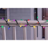 Celebrations Classic LED C6 Multicolored 100 ct String Christmas Lights 24.75 ft.