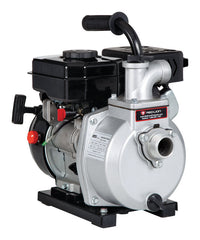 Red Lion 2.4 HP 3600 gph Aluminum Switchless Switch Gas Transfer Pump