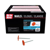 Grip-Rite 2-1/2 in. Cap Electro-Galvanized Plastic/Steel Nail Full Round