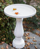 Bloem Llc 270-10 17" D X 17" W X 25" H White Bird Bath Promo (Pack of 6)