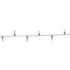 Celebrations Classic LED C6 Multicolored/Warm White 50 ct String Christmas Lights 16 ft.