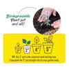 Jiffy 3 in. H Seed Starting Peat Pot 10 pk